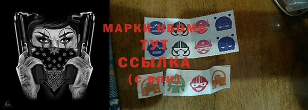 мдпв Краснослободск