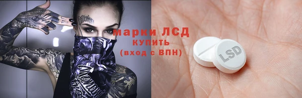 мдпв Краснослободск
