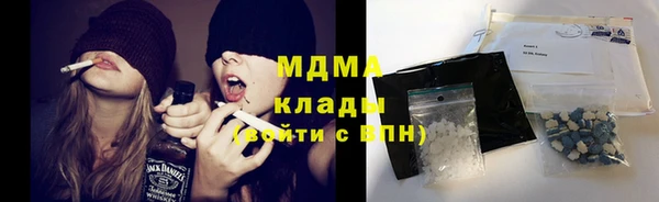 мдпв Краснослободск