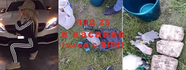 мдпв Краснослободск