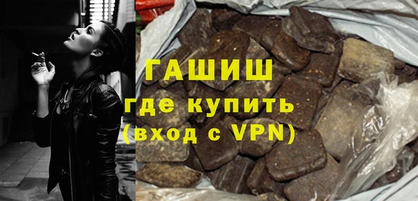 мдпв Краснослободск