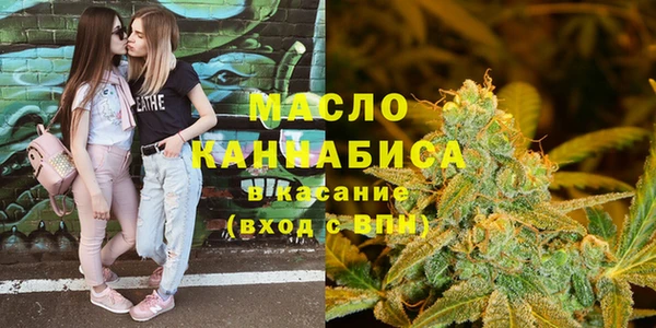 мдпв Краснослободск