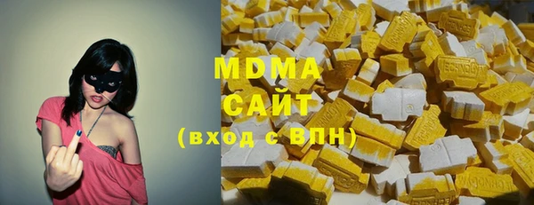 мдпв Краснослободск