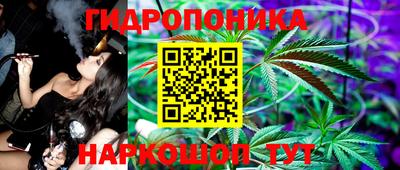 МДПВ Волжск