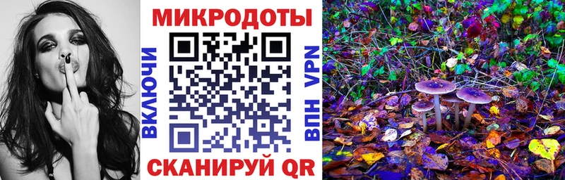 наркотики  Рязань  Псилоцибиновые грибы Psilocybe 