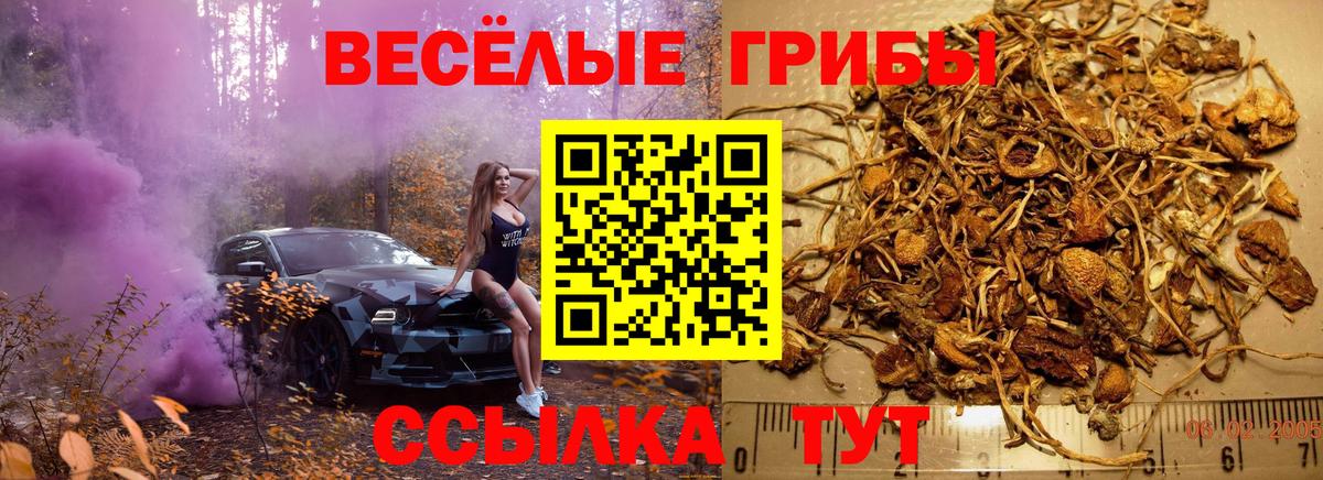 Рязань  Галлюциногенные грибы MAGIC MUSHROOMS  Вход с VPN 